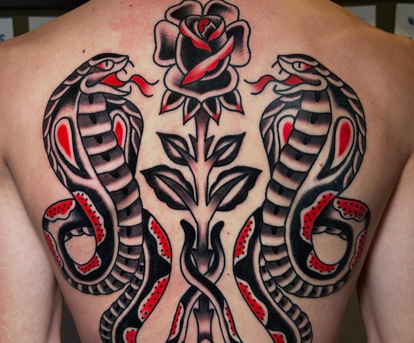 505469760_18513287452026387_5596093585420557871_n